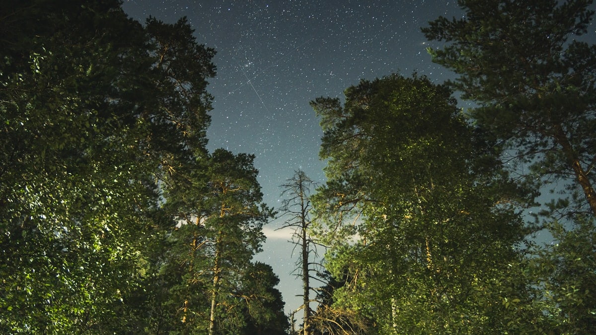 Perede kvaliteetaja tähtsus